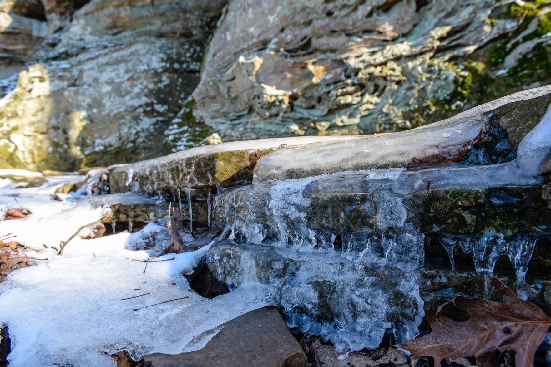011716-nws-southern-exposure-13.jpg